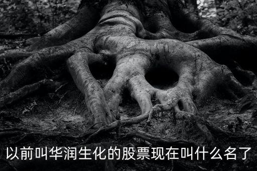以前叫华润生化的股票现在叫什么名了