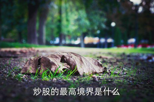 炒股的最高境界是什么