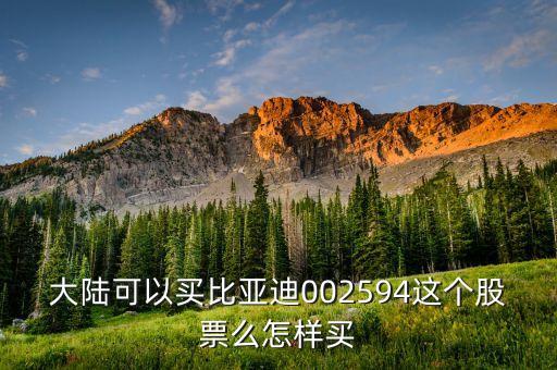 为什么比亚迪是中小板股票，石油涨价受益股有哪些