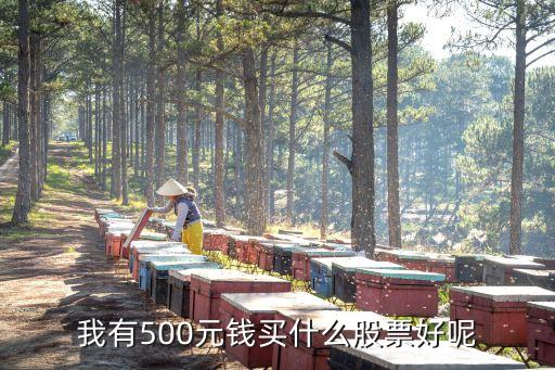 我有500元钱买什么股票好呢