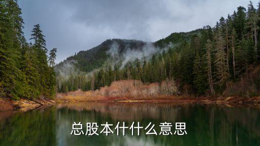 总股本什什么意思
