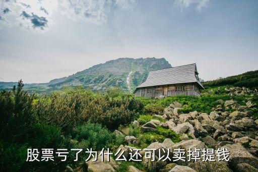 股票亏了为什么还可以卖掉提钱