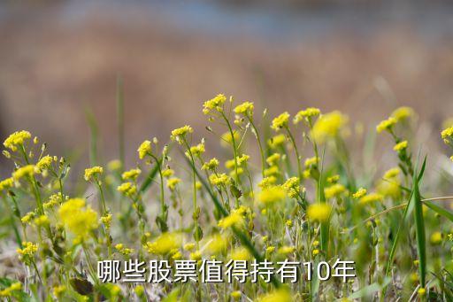 什么股票能持续发展十年，有什么股票可以长期持有