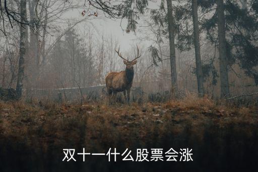 双十一什么股票会涨