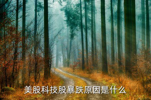 美股科技股暴跌原因是什么