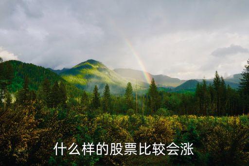 什么样的股票比较会涨