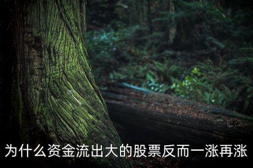 为什么资金流出的股票还涨，为什么资金流出大的股票反而一涨再涨