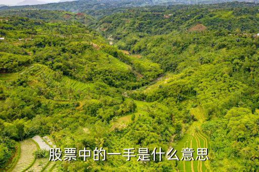 股票行话一手是什么意思，在交易中一手什么意思