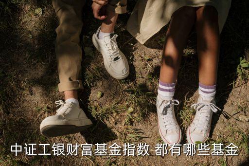 北交所首批股票代码是什么，中证工银财富基金指数 都有哪些基金