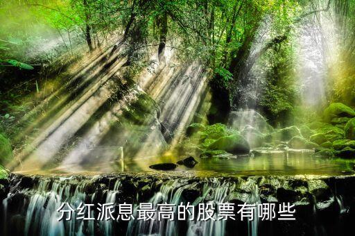 业绩好高分红的股票叫什么，高分红概念股票有哪些