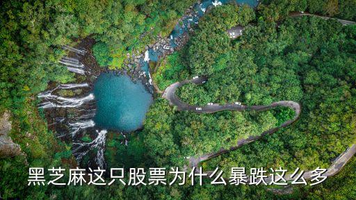 黑芝麻这只股票为什么暴跌这么多