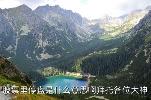 股票里停盘是什么意思啊拜托各位大神