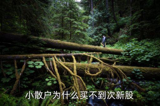 小散户为什么买不到次新股