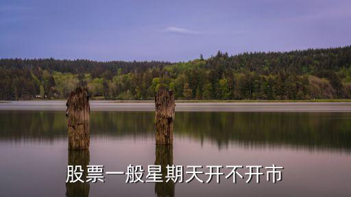 星期一为什么股票不开盘，股票一般星期天开不开市