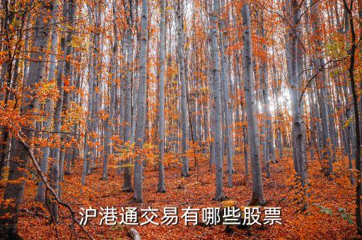 沪港通交易有哪些股票