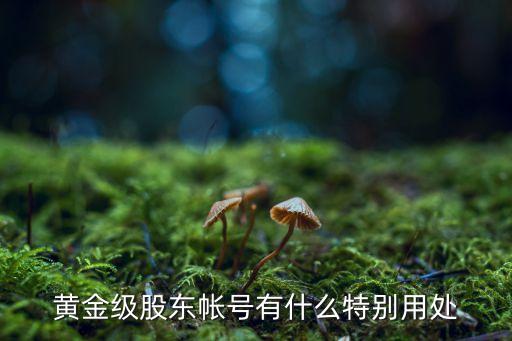 黄金级股东帐号有什么特别用处