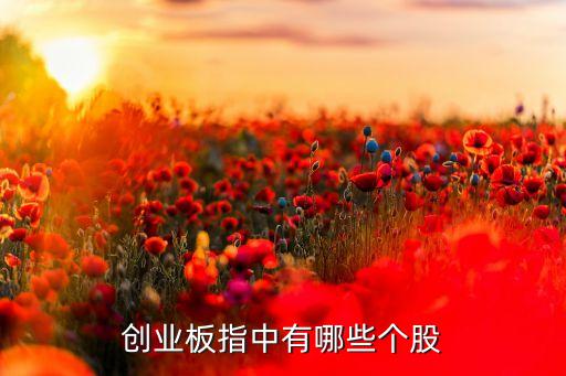 创业板有什么股票代码，创业板股票代码