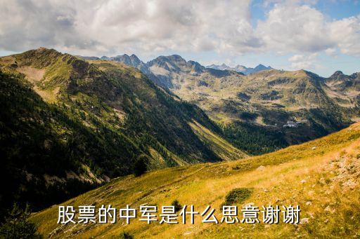 股票的中军是什么思意谢谢