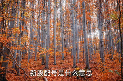 股票鹿山配号是什么意思，股票配号是什么意思