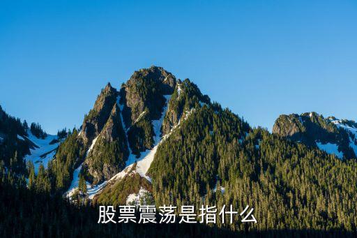 股票震荡是指什么