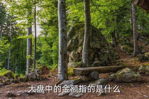 股票中的额代表什么意思，股票中的金额是啥意思