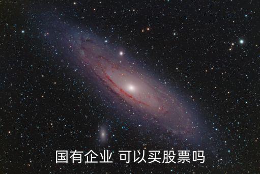 国有企业 可以买股票吗