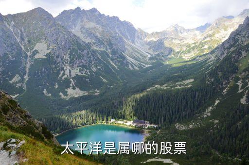 太平洋是属哪的股票