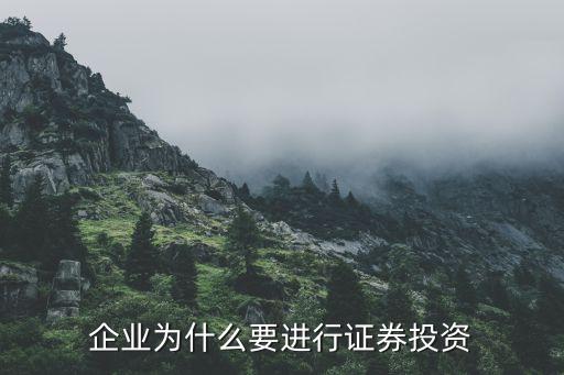 企业为什么要进行证券投资