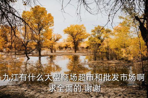 九江有什么大型商场超市和批发市场啊 求全面的 谢谢