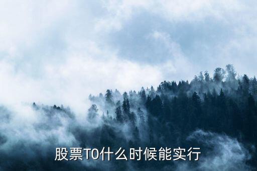 股票交易制度什么时候实现，股票T0什么时候能实行