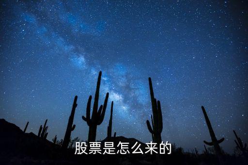 股票是怎么来的
