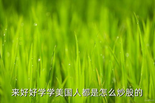 美国是什么人在炒股票，美国个人投资股票的多吗我的意思是说散户多吗