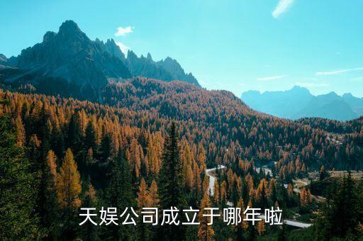 天娱公司成立于哪年啦