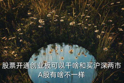 股票开通创业板可以干啥和买沪深两市A股有啥不一样