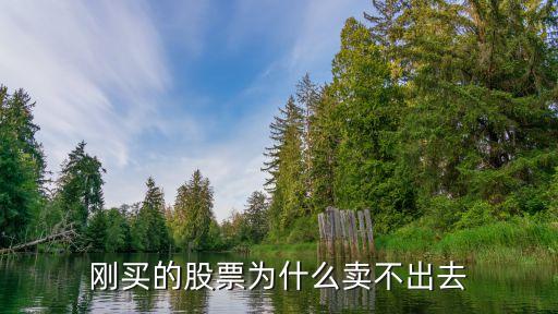 刚买的股票为什么卖不出去