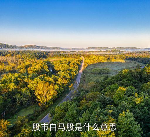 什么叫投资回收率高的股票，股市白马股是什么意思