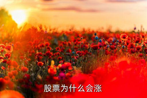 股票为什么会涨