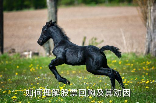 如何理解股票回购及其动因