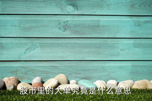 股市里的大单究竟是什么意思