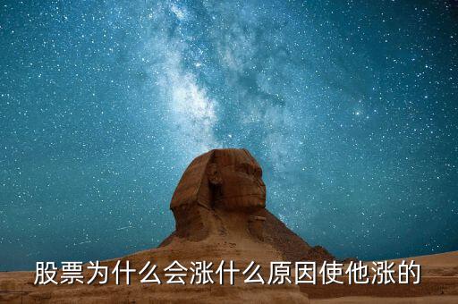 股票为什么会涨什么原因使他涨的