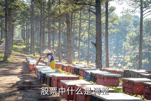股票中的调整是指什么意思，股市上什么叫50点调整