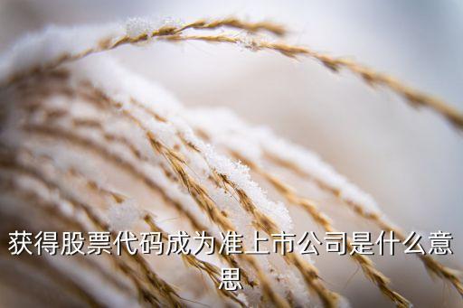 获得股票代码成为准上市公司是什么意思