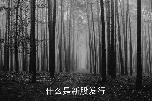 什么是新股发行