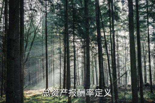 什么是股票的总资产回报率，什么是股东总回报Total