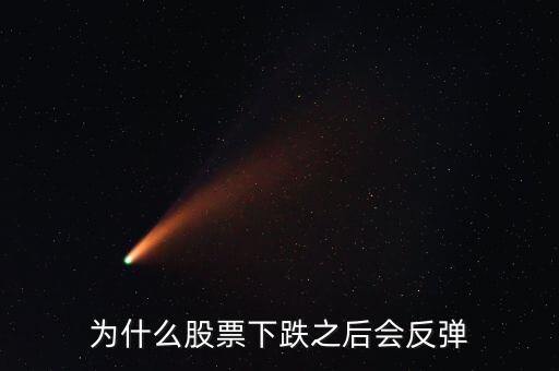 为什么股票跌下来会涨回去，为什么股票下跌之后会反弹