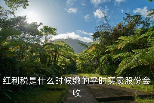 股票红利差异税什么时候扣，上市公司股息红利差别化个人所得税政策