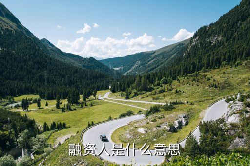 融资人是什么意思