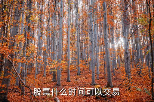 股票什么时间可以交易