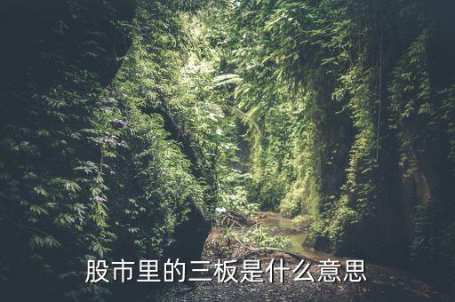 股市里的三板是什么意思