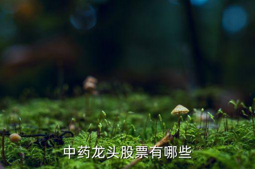 中药龙头股票有哪些